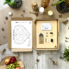 Serce String Art