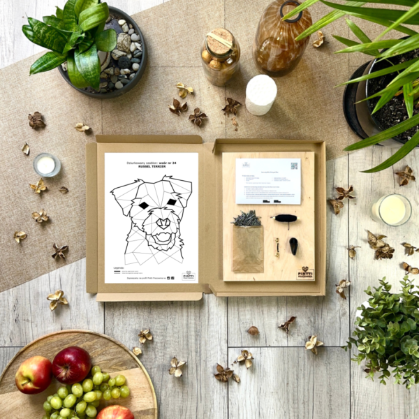 Russel Terrier