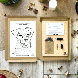 Russel Terrier