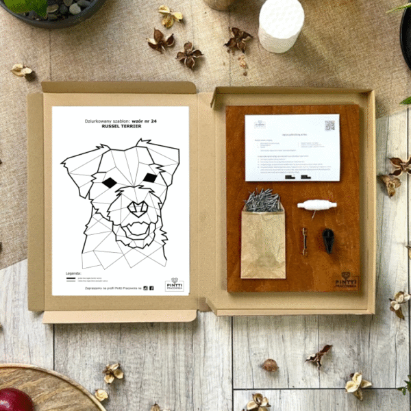 Russel Terrier