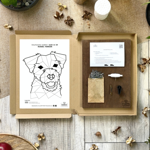 Russel Terrier