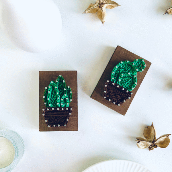 Magnesy String Art kaktus i sukulent