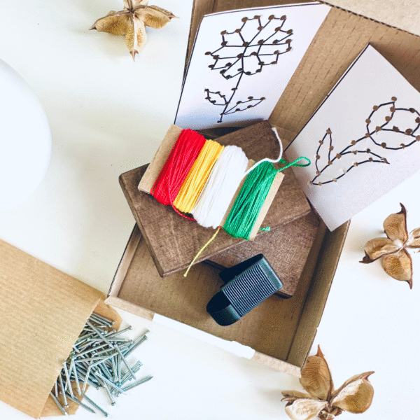 zestaw DIY stokrotka i tulipan